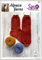 2803 Textured Socks (e-pattern)