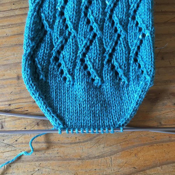 Euphyllia Lace Socks | Project Kit