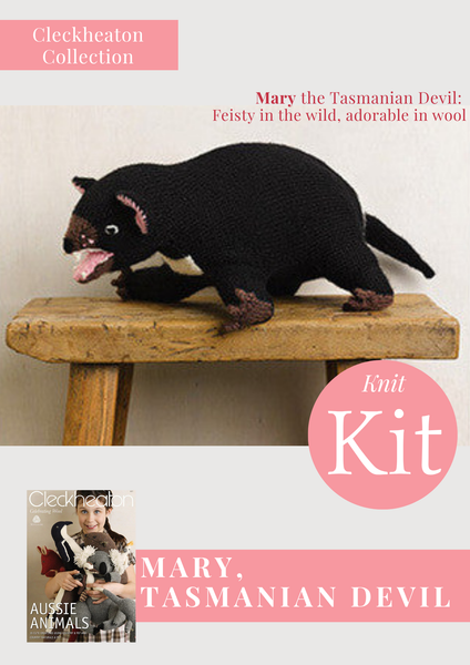 Mary Tassie Devil Project Kit