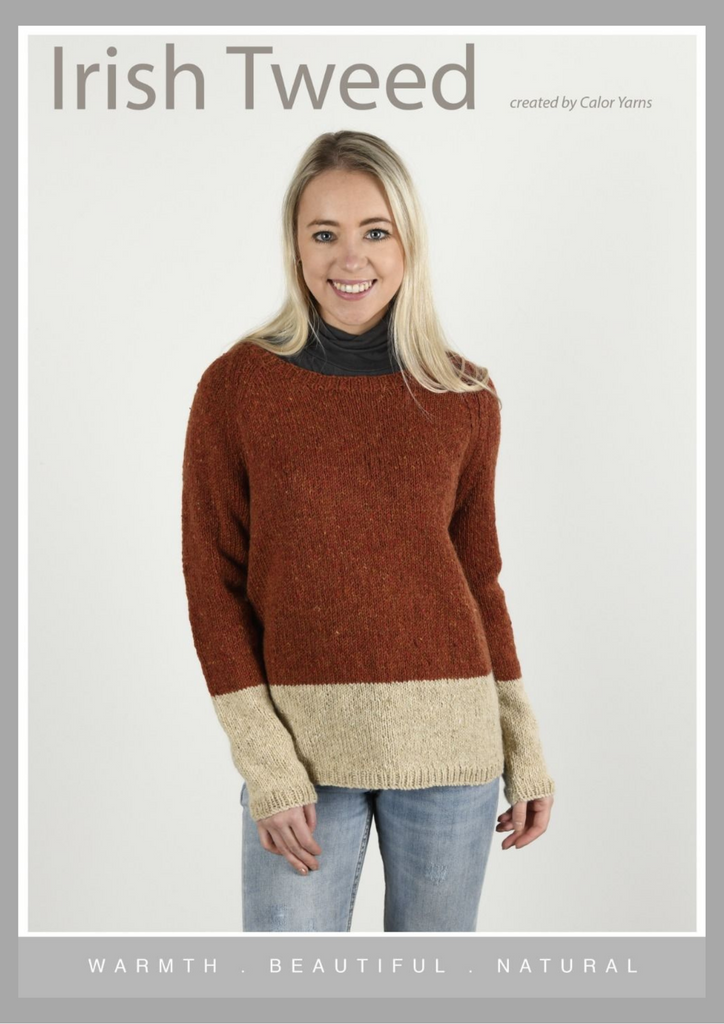 CY123 Two Tone Sweater  (e-pattern)